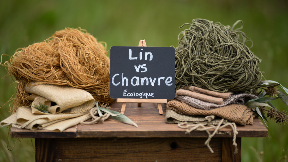 Lin et chanvre : différences, avantages et fibre écologique