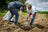 1 arbre planté avec Reforest'Action