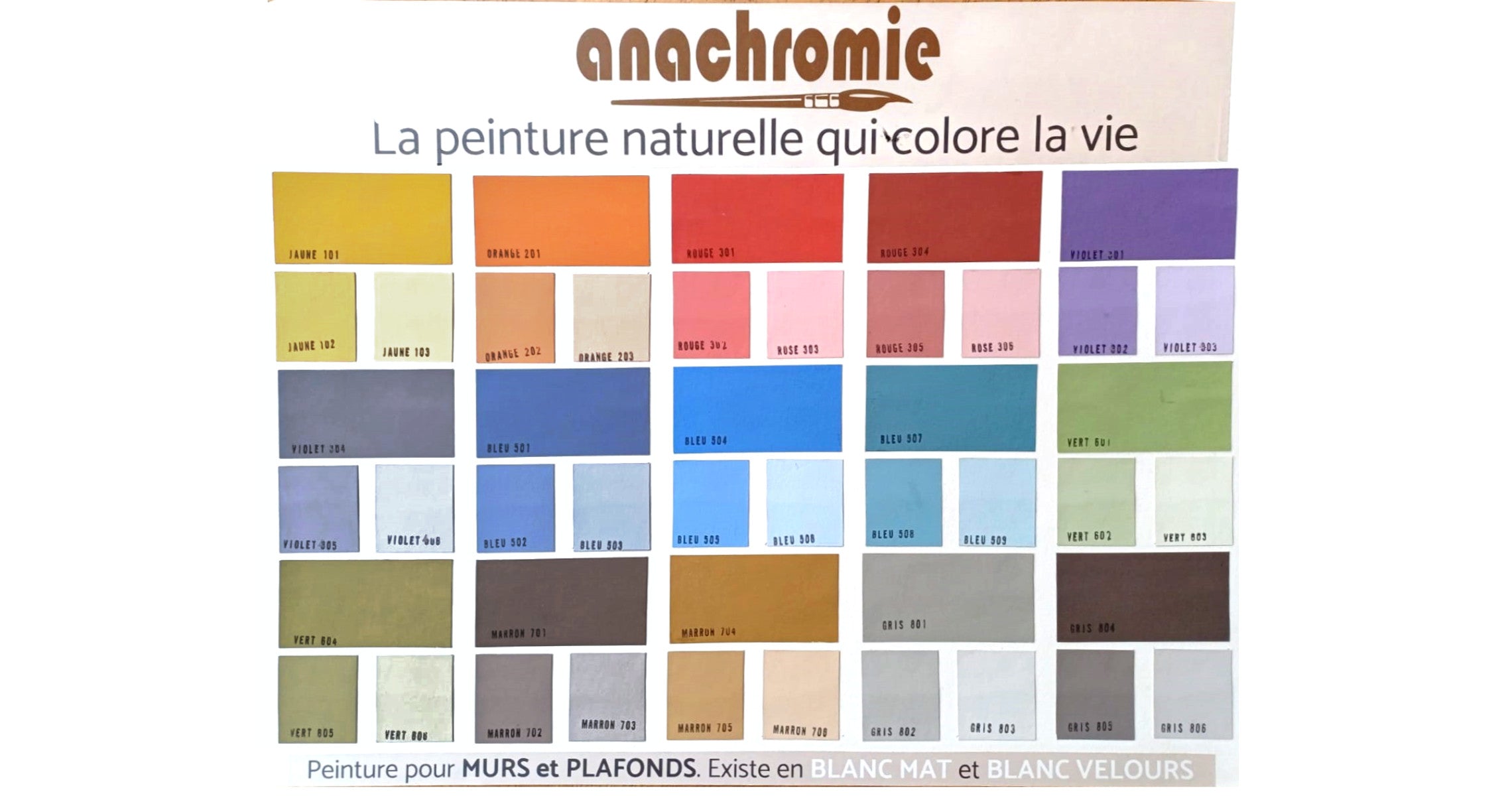 Échantillon de peinture naturelle Anachromie: nuanciers colorés en blocs rectangulaires, montrant jaunes, oranges, rouges, viole