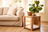 Petit meuble bas en bois au naturel, posé près d'un canapé beige dans un salon lumineuse, avec panier et plante sur la table.